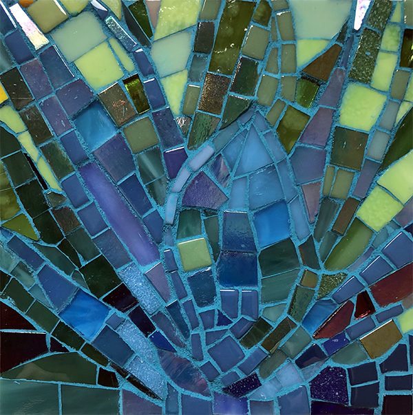 Agave mosaic.