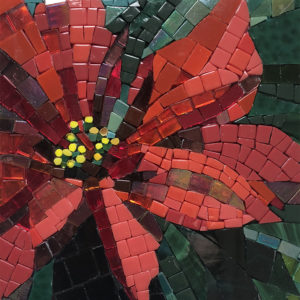 Poinsettia mosaic