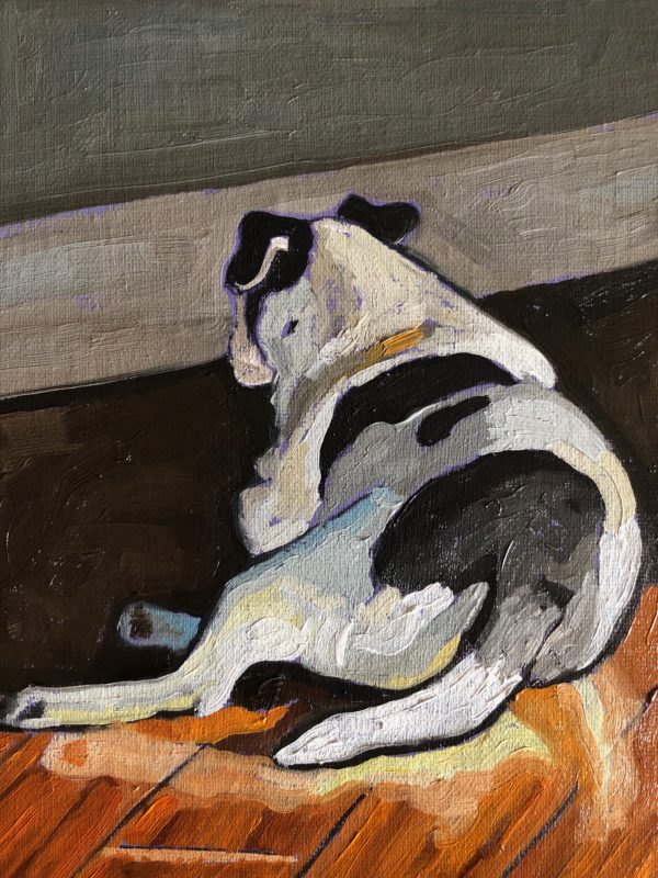 Picture of a Jack Russell Terrier guarding the door