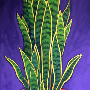 Snake Plant