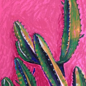 cactus agains pink wall