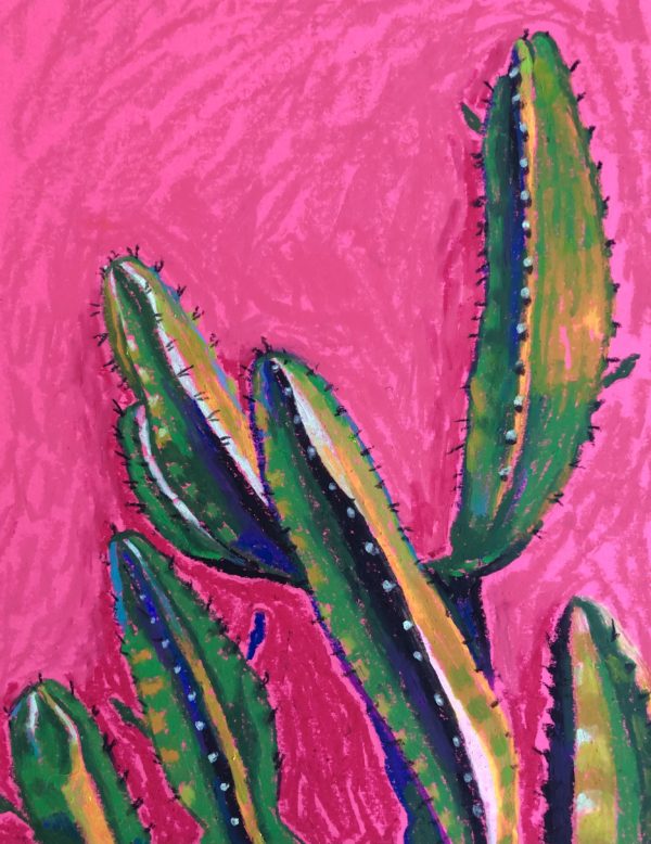 cactus agains pink wall