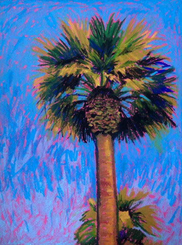 Palm tree pastels