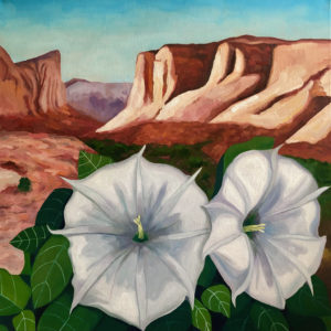 Two moonflowers blossoming with their leaves in front of a shadowy Utah canyon