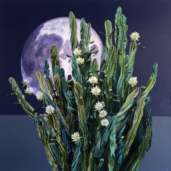 Nightblooms
